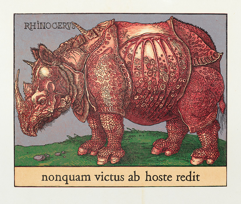 Bois grave de Jim Monson : Red rhino